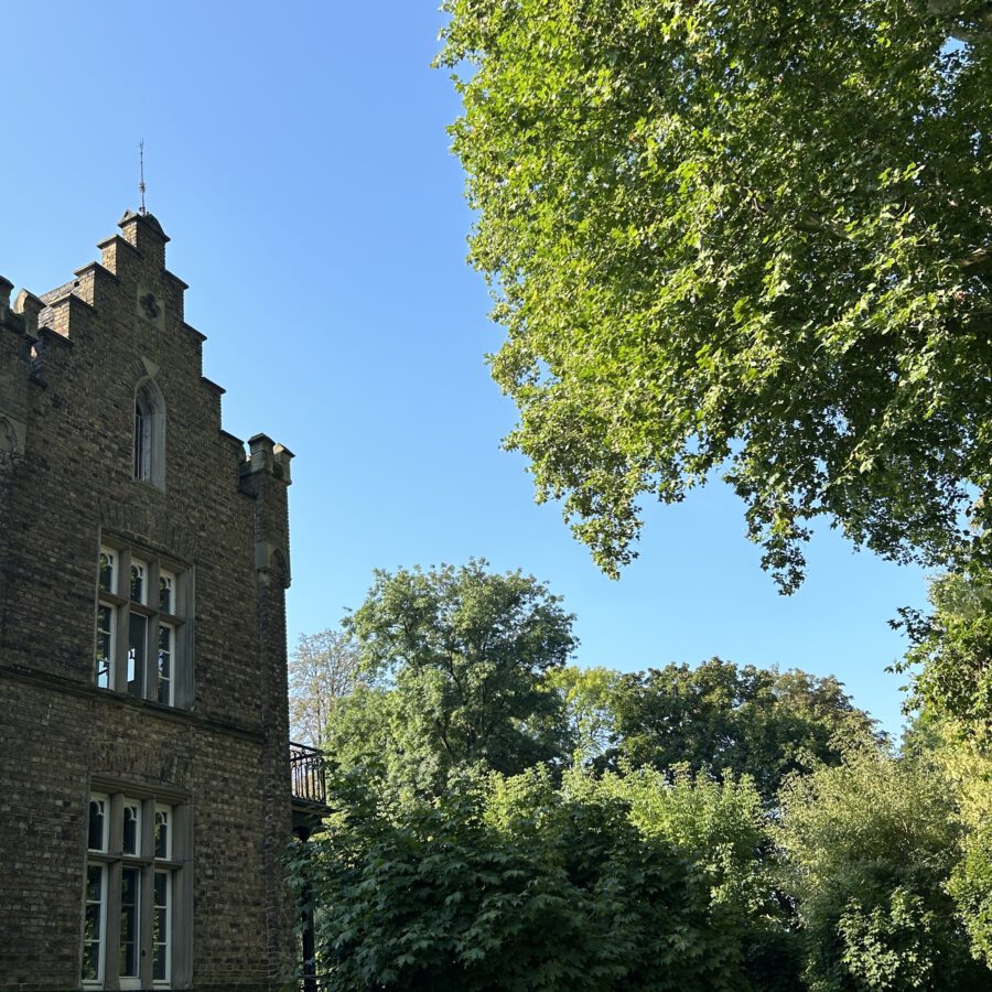 iaPTAySSRAmIZef5dF3mHg