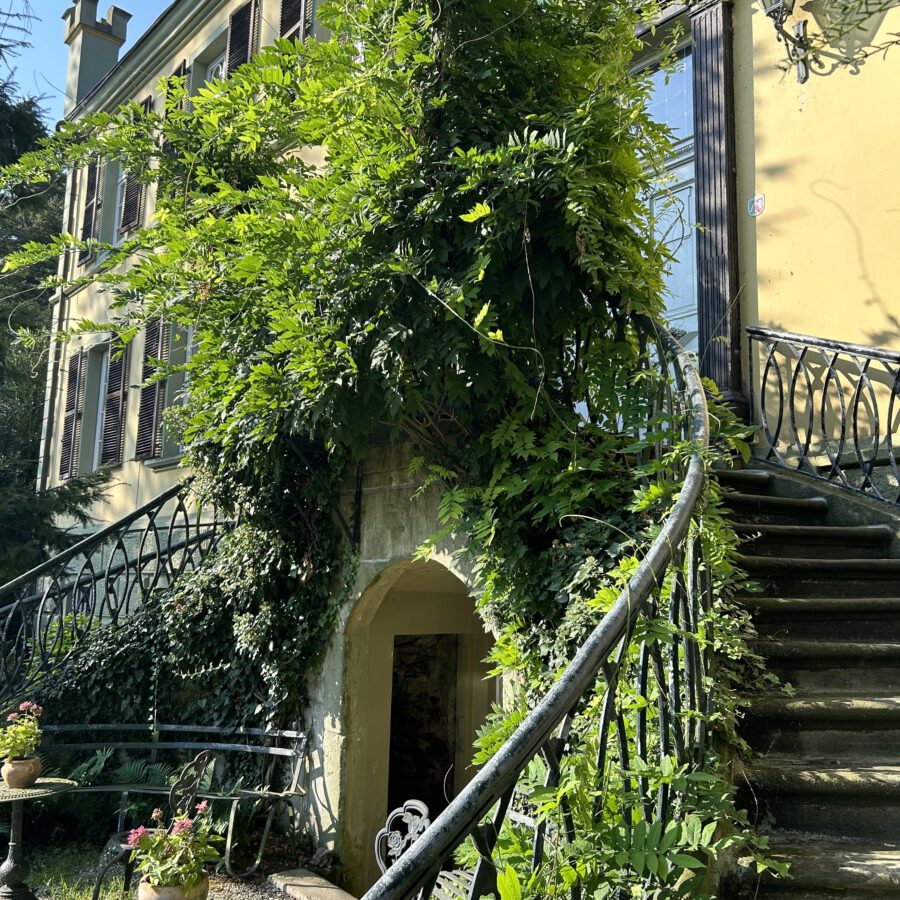 pc81j1FkSzOkETm6sOKvpw