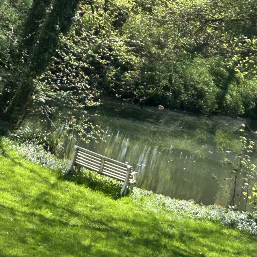 uLFQ6LzhSImdcx0BLImP3g